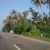 Fotos Kerala Nov-Dez 2011 teil 2 433.jpg